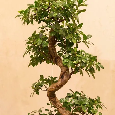 Apartamento Ceuta Residences - 8 By We Do Living Porto