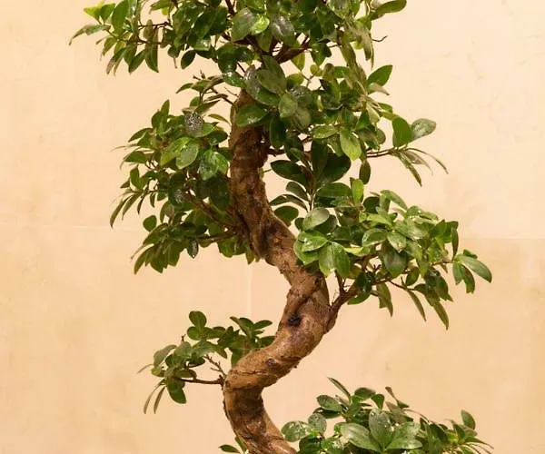 شقة Ceuta Residences - 8 By We Do Living بورتو